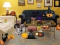 Gioco Halloween Room