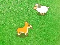 Gioco Dog and sheep