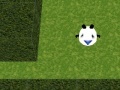 Gioco Panda Hates Mazes