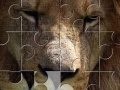 Gioco Lion Jigsaw