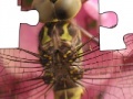 Gioco Jigsaw: Dragonfly