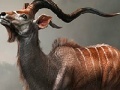 Gioco Wild antelope slide puzzle
