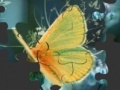 Gioco Butterfly