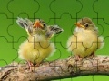 Gioco Two cute sparrow puzzle