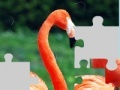 Gioco Flamingo puzzle