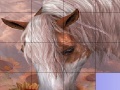 Gioco Slide Puzzle: Horse