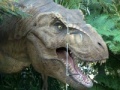 Gioco Tyrannosaurus Rex Jigsaw