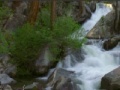 Gioco Wild Creek