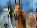 Gioco Wild horses slide puzzle