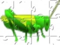Gioco Grass Hopper Jigsaw
