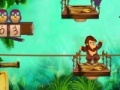 Gioco Mr.Monkey