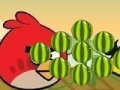 Gioco Angry Birds - cut the rope