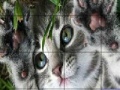 Gioco Coward Cat: Slide Puzzle