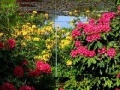 Gioco Beauty Gardens Puzzles 5