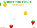 Gioco Xtreme Fruit Shoot 2!
