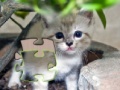 Gioco Jigsaw: Happy Kitty