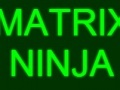 Gioco Matrix Ninja