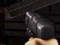 Gioco Duke Nukem: FPS
