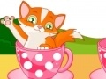 Gioco Cat in Cup
