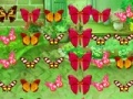 Gioco Butterfly Match