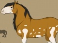 Gioco Create Horse