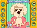 Gioco Toy Poodie Makeover