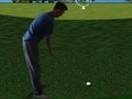 Gioco Flash Golf 3D