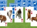 Gioco Best in show: Solitaire