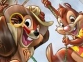 Gioco Chip and Dale hidden numbers