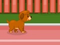 Gioco Puppy racer