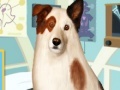Gioco Eye Care Dog With A Blog