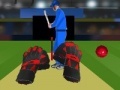Gioco Cricket tap catch