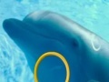 Gioco Dolphin Tale 2 Hidden Alphabets