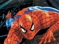 Gioco Spider-Man: Puzzles