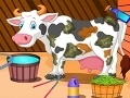 Gioco Holstein Cow Care