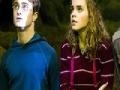 Gioco Harry Potter: Puzzled Harry 