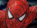 Gioco Spider-man 3: Rescue Mary Jane 