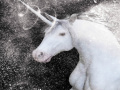 Gioco White Unicorn Hidden Stars