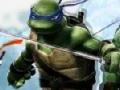 Gioco Ninja Turtle Double Dragons 