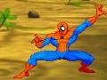 Gioco Spiderman: Hero Training 