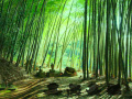 Gioco Bamboo Forest Monkey Escape