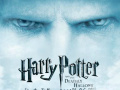 Gioco Harry Potter and the deathly Hallows Find the Numbers