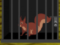 Gioco Squirrel Cage Escape