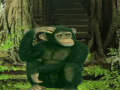 Gioco Chimpanzee Forest Escape