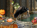 Gioco The Witches Curse