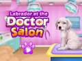 Gioco Labrador at the doctor salon    