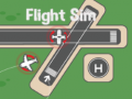 Gioco Flight Sim