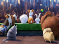 Gioco The Secret Life Of Pets Find Objects