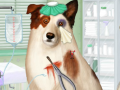 Gioco Doctor For Dog With a Blog