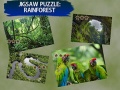 Gioco Jigsaw Puzzle Rain Forest 